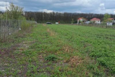 Teren 5600 mp deschidere Lac Snagov 32ml - 2
