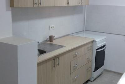 Inchiriez apartament renovat cu 2 camere decomandate - strada Paltinis - 10