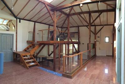 Vila istorica de vanzare in zona *Unirii* | 21 camere | curte, garaj - 45