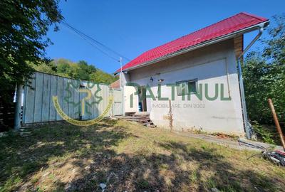 Casă individuală cu 2 camere în Nucet