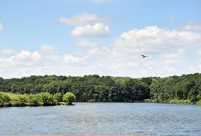 Teren unicat cu deschidere la lacul Caldarusani - 5