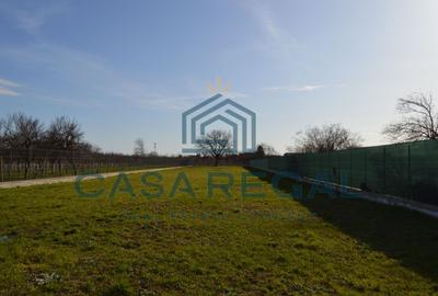 Teren 3500 mp împrejmuit, central, Biharia, lângă Profi, utilități - 3