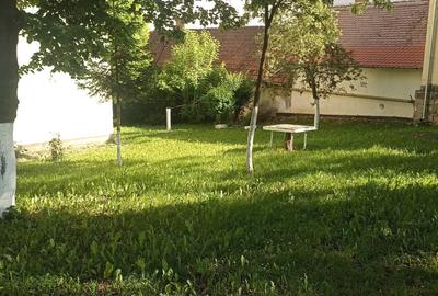 De vânzare apartament cu 2 camere în Sfântu Gheorghe - 9