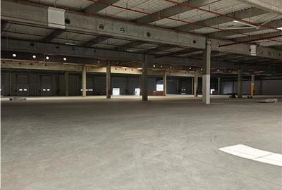 Spatiu Industrial - 9500 mp - Logistica - Productie - Depozitare - Distributie - 2
