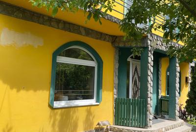 Casa 8 Camere Snagov - 15