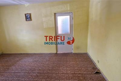 Apartament cu 2 camere decomandat în Cetate