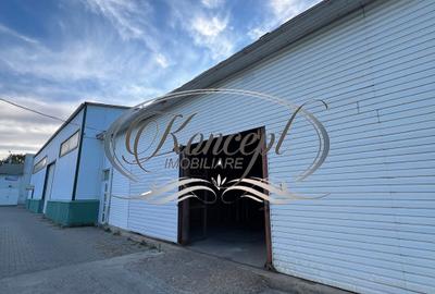 Spațiu industrial, 100 mp în Mărăști