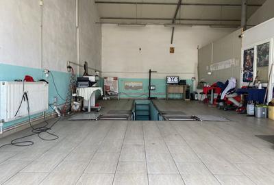 Vand  proprietate ideala pt logistica,, spatii depozitare, productie - 11