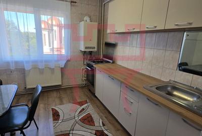 Inchiriere  apartament renovat 2 camere parcare Plopilor parcul Babes - 14