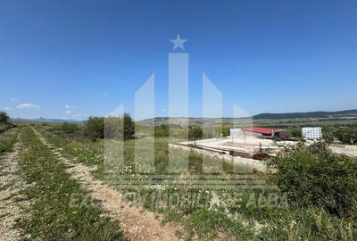 Teren Construcții intravilan de 700 mp, în Micești