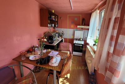 Casa individuala. Teren 2373 mp. Sacalaz - 12