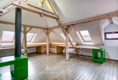 Spatiu de birouri in vila - Decebal - 6