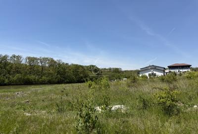 Teren Construcții intravilan de 7500 mp, în Brănești