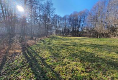 Teren rezidential zona Bran Predelut zona de case si pensiuni - 1