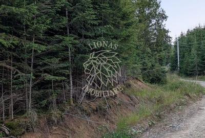 Teren extravilan de 19500 mp, în Colibița