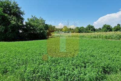 Teren intravilan 4.133 mp cu dublă deschidere – Girov, Neamț | Toma Imobiliare - 5
