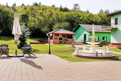 Proprietate Deosebita - Liziera Padurii - 36