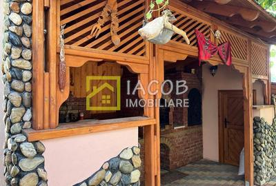 Vila P si 1E,  teren 1000 mp, loc. Dumbrava, jud Bacau - 20