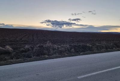 Teren intravilan in Curtesti spre Manastirea Doamnei - 4