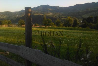 Teren intravilan 5360mp Bistrita Nasaud | Tiha Bârgăului - 5