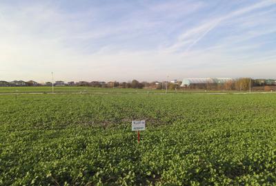 Lot 608mp In Rate Com Berceni | utilitati: curent gaz asfalt | #SG1 - 14