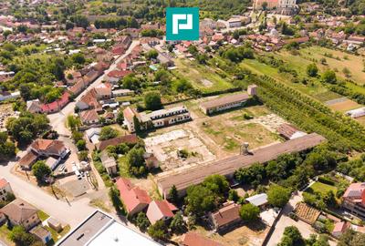 Spațiu industrial cu Teren 13.072 mp în Lipova - 9