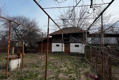 VANZARE CASA + CURTE MARE - 3