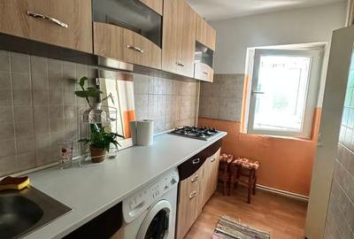 Apartament 1 camera Nicolina-Prima Statie, ETAJ 1, ideal investitie - 4