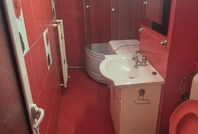 Apartament de inchiriat cu 2 camere, 55 mpu, mobilat, utilat, Sebes - 5
