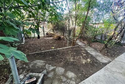 Pantelimon Central - 14