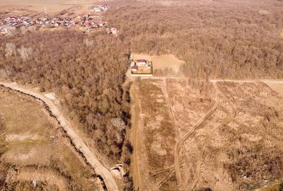 Teren intravilan Măgurele langa padurea Cornetu si Arges - 14