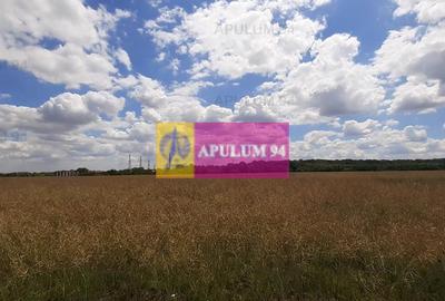 Teren 715mp în Snagov lângă Equestria - 30