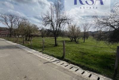 Teren 10.000 Mp Intravilan/Extravilan Livada De vanzare Bunesti Valcea - 1