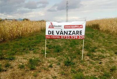 Teren, Traian Bacau - 3