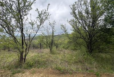 Teren extravilan 2900mp acces la 2 drumuri 48.500 eur neg - 5