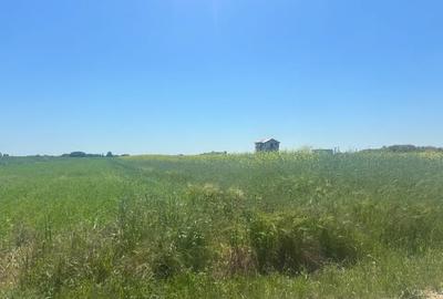 Loturi teren 500 m P+1+M Berceni - Vidra Actele la zi Puz valabil - 3