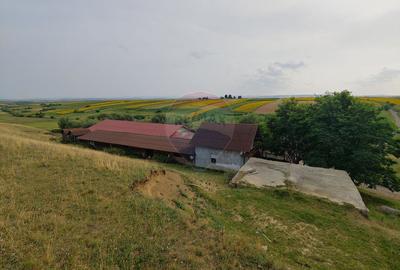 Teren parțial intravilan-300000mp Stroiești-Trei Movile, Suceava - 19