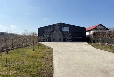 Hala depozitare/ productie 250 mp de inchiriat, Tatarani, acces TIR - 3