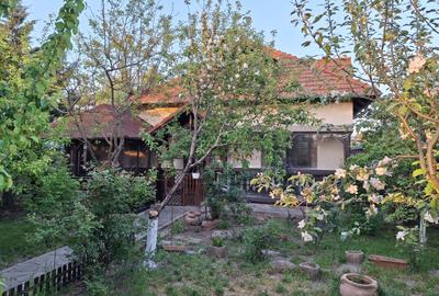 Casa Individuala Comuna Berceni, 4 camere, 2 bai, 3 min de Lidl, Mega, Penny - 16