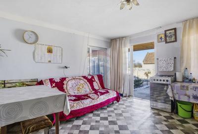 Casă renovată cu teren generos în Satu Mare,Secusigiu - 12