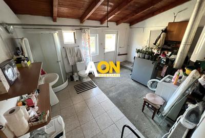 Casa de vanzare pretabila 2 familii, garaj, livada, comuna Pianu - 32