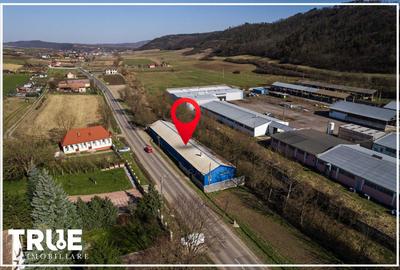 Hală de producție și depozitare - Voiniceni, Mureș - 18