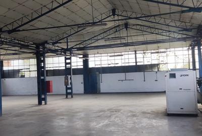 Hale + platforma betonata mp Giurgiului ( Zetari ) - 7