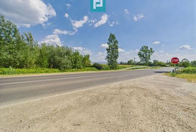 Teren extravilan de 5.219 mp în Geoagiu la șosea - 1