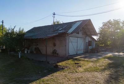 Hală industrială cu multiple destinații în Nădlac - 46