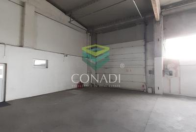 Zona DNCB Clinceni De inchiriat Hala C1 - 6