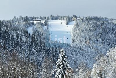 Pensiune la Cheie cu Vedere Panoramică Toplița - 19