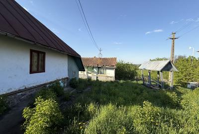 Casă de vânzare | Horodniceni | 3200 MP Teren intravilan - 5