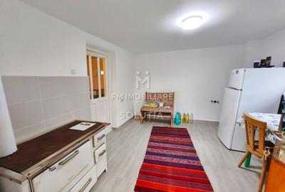 Casă P+1 de vânzare | Cicârlău | 11 ari teren - 13