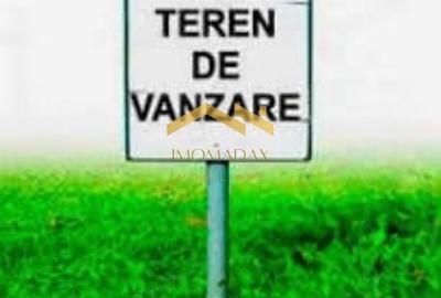Dumbravita-Teren la Asfalt-Aproape de IKEA - 2